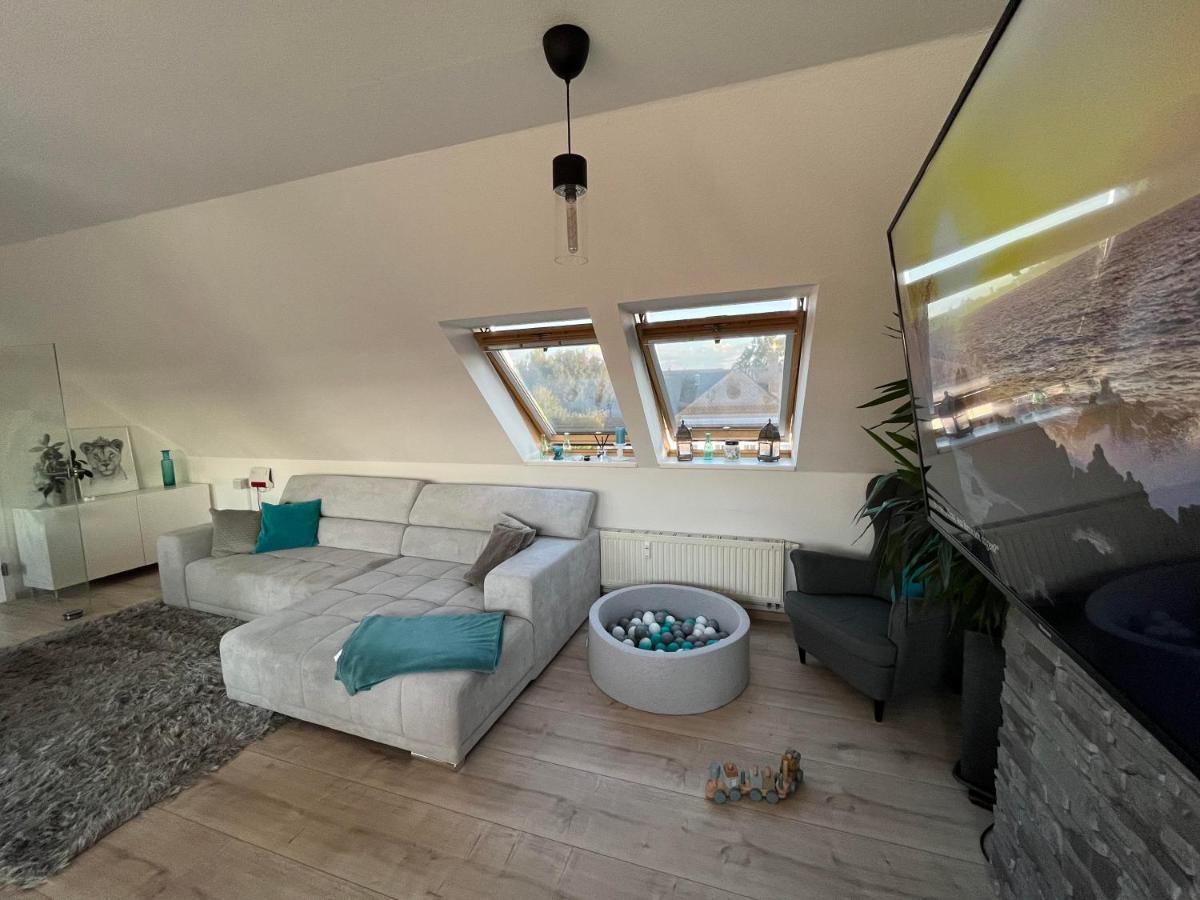 105 Qm Neues Klimatisiertes Appartment Fuer Familien Privater Parkplatz Chemnitz Esterno foto