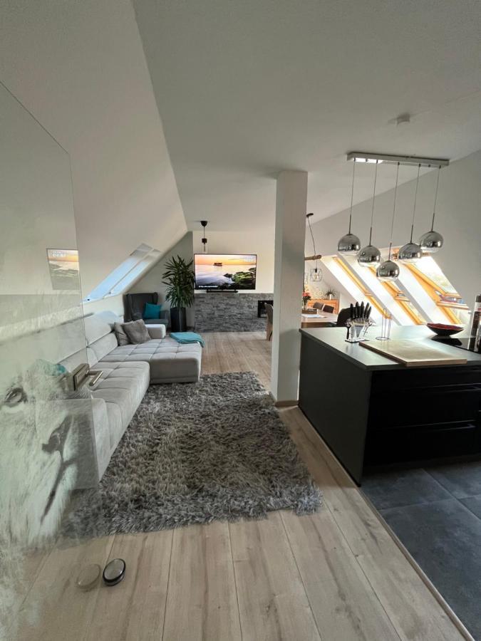 105 Qm Neues Klimatisiertes Appartment Fuer Familien Privater Parkplatz Chemnitz Esterno foto